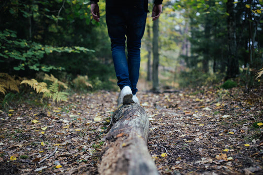 Striking the Right Balance Amazon Advertising Budgets and ROI
